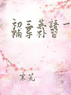 初三英语一对一辅导补习