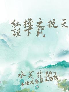 红楼之挽天倾小说下载
