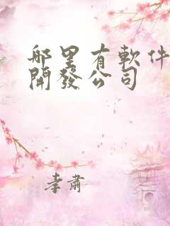 哪里有软件定制开发公司