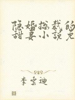 隐婚总裁的绯闻甜妻小说免费阅读