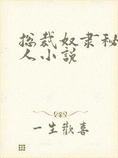 总裁奴隶秘书主人小说