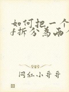 如何把一个pdf拆分为两个