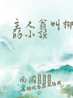 主人翁叫柳无邪的小说