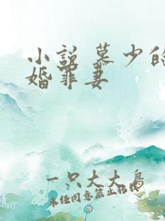 小说 慕少的隐婚罪妻