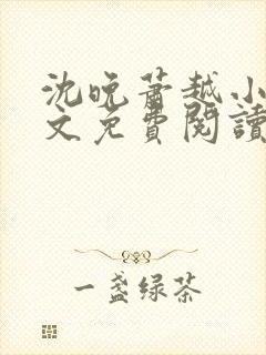 沈晚萧越小说全文免费阅读