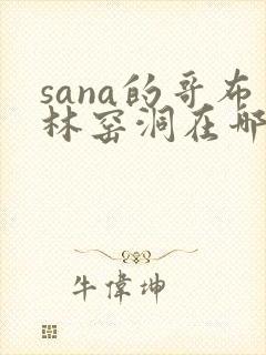 sana的哥布林窑洞在哪看