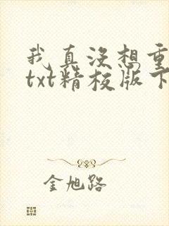我真没想重生啊txt精校版下载