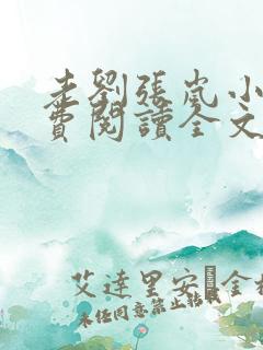 老刘张岚小说免费阅读全文最新章节