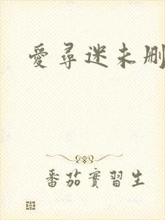 爱寻迷未删减版