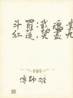 斗罗:武魂业火红莲,焚尽九天