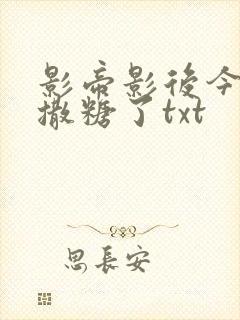 影帝影后今天又撒糖了txt