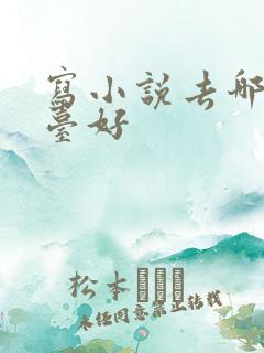 写小说去哪个平台好