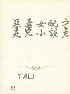 恶毒女配守活寡夫兄小说免费阅读全文