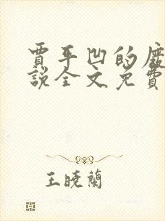 贾平凹的废都小说全文免费听