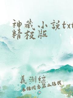 神藏小说txt精校版