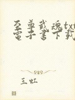 至尊武魂txt电子书下载
