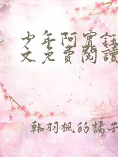 少年阿宾钰慧全文免费阅读