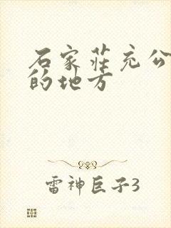 石家庄充公交卡的地方