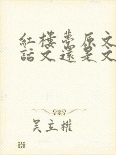 红楼梦原文是白话文还是文言文