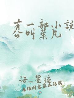 有一部小说主人公叫叶凡