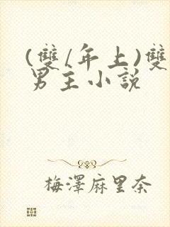 (双/年上)双男主小说