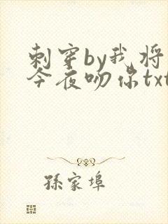 刺穿by我将在今夜吻你txt免费阅读