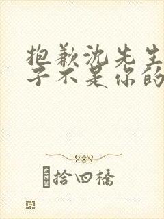抱歉沈先生,孩子不是你的短剧全集