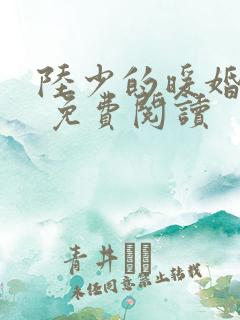 陆少的暖婚新妻 免费阅读