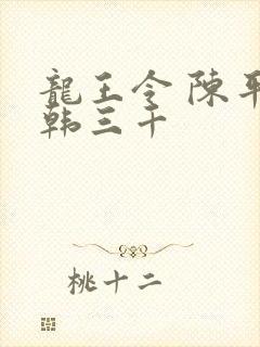 龙王令 陈平 韩三千