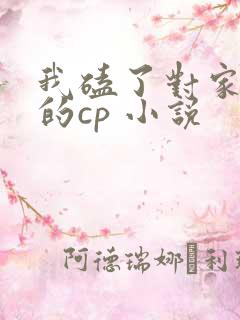 我磕了对家x我的cp 小说