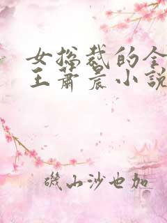 女总裁的全能兵王萧晨小说阅读
