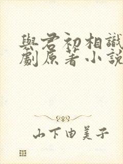 与君初相识电视剧原著小说