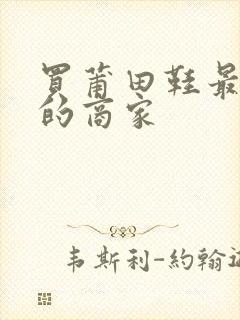 买莆田鞋最靠谱的商家