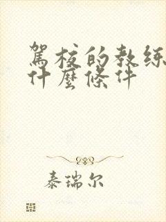 驾校的教练需要什么条件