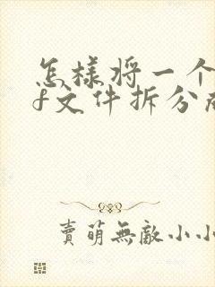 怎样将一个pdf文件拆分成多个文件
