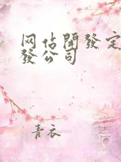 网站开发定制开发公司