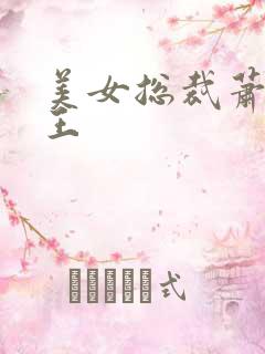 美女总裁萧晨兵王