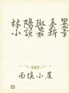 林阳与秦墨浓的小说最新章节