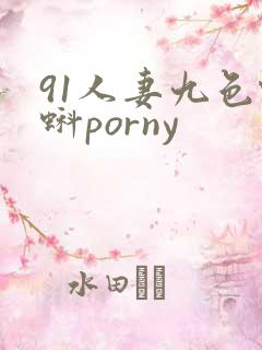 91人妻九色蝌蚪porny