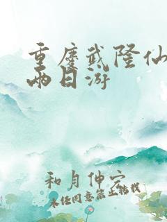 重庆武隆仙女山两日游