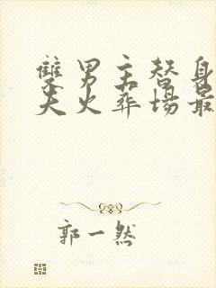 双男主替身文追夫火葬场最好看