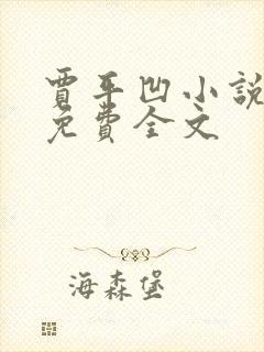 贾平凹小说暂坐免费全文