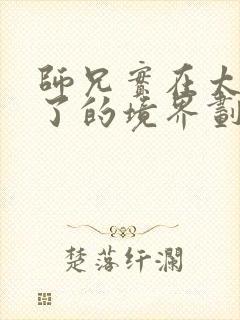 师兄实在太稳健了的境界划分