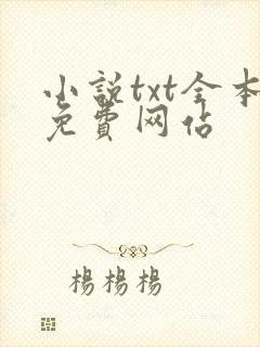 小说txt全本免费网站