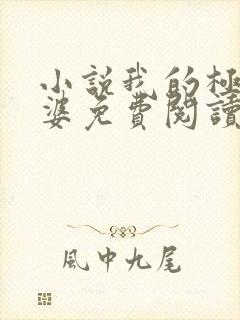 小说我的极品老婆免费阅读全文