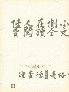 佳人在侧小说免费阅读全文无弹窗