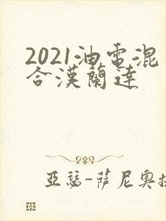 2021油电混合汉兰达