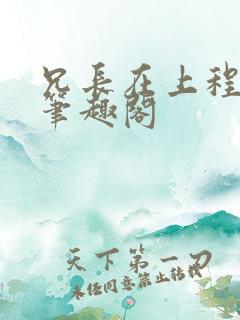 兄长在上程十七笔趣阁