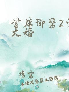 首席御医2曾毅大婚