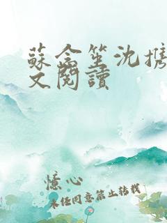 苏念笙沈携西全文阅读